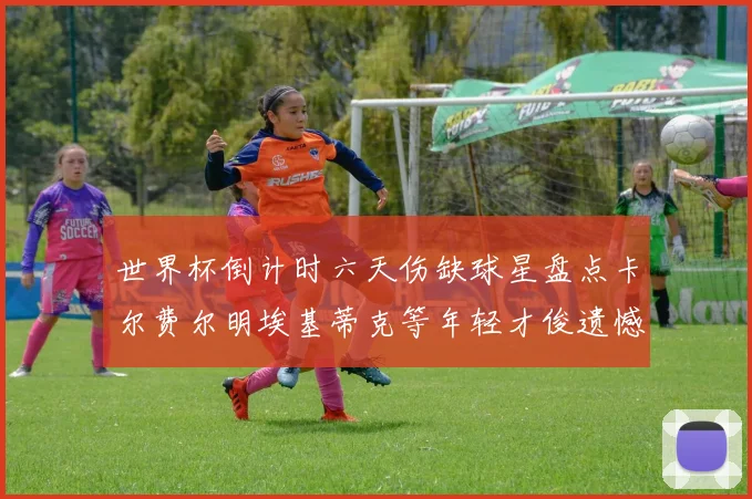 世界杯倒计时六天伤缺球星盘点卡尔费尔明埃基蒂克等年轻才俊遗憾缺席